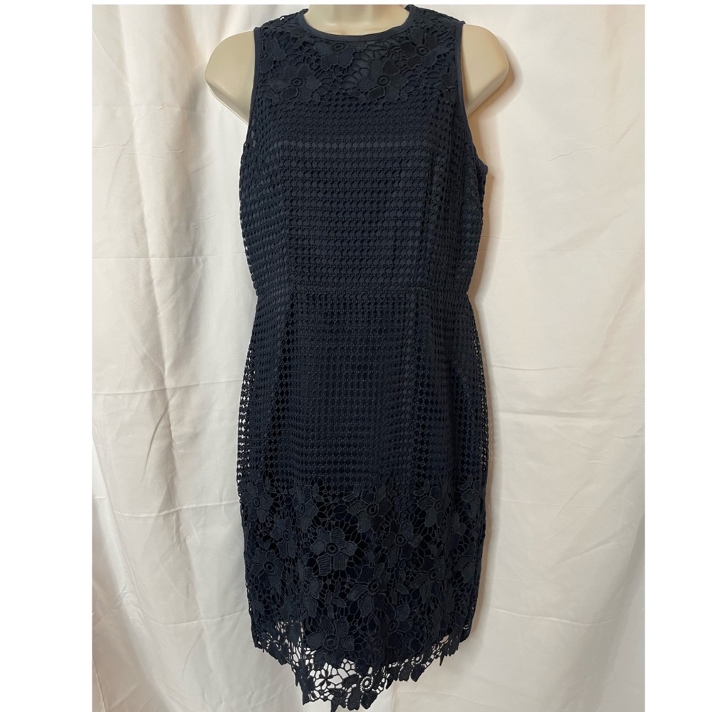 Ann Taylor Lace overlay sheath dress